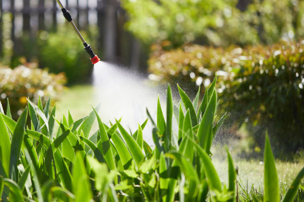 24/7 Emergency Wasp Removal experts in Holly Springs, GA