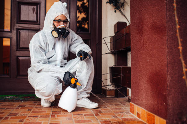 Reliable Wasp Removal contractor in Holly Springs, GA by Show Me Pest Control